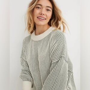 Aerie Chenille Cream & Olive  Crewneck Sweater